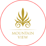 mountain view logo